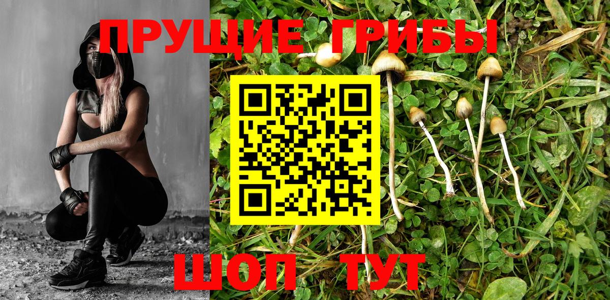 Псилоцибиновые грибы MAGIC MUSHROOMS  Вход с VPN  Воркута 